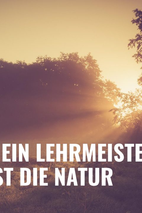 Folge 87 – Mein Lehrmeister ist die Natur