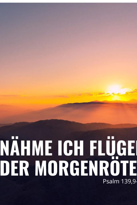 Folge 92 – Nähme ich Flügel der Morgenröte (Psalm 139)