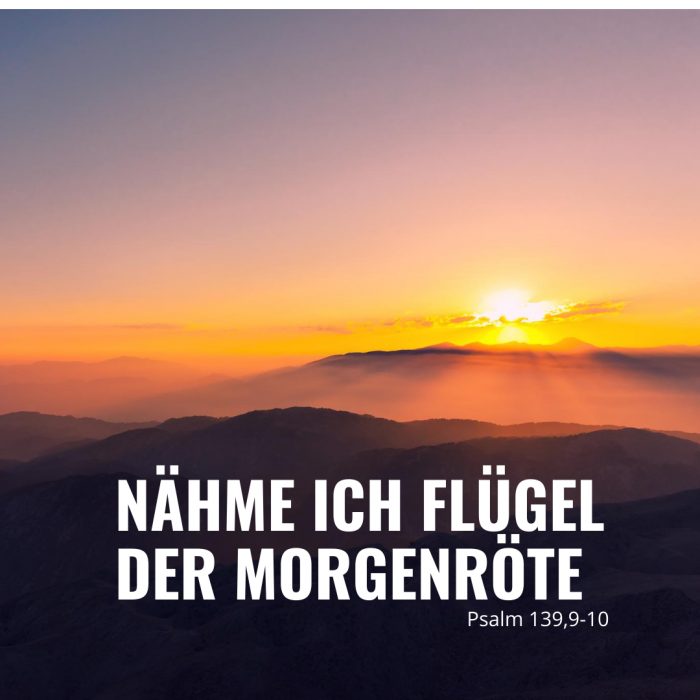 Folge 92 – Nähme ich Flügel der Morgenröte (Psalm 139)